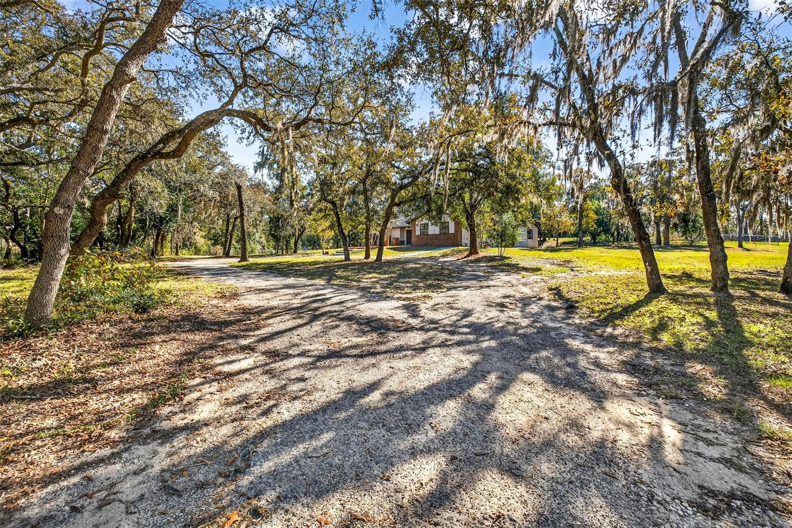 14252 TRINITY RD