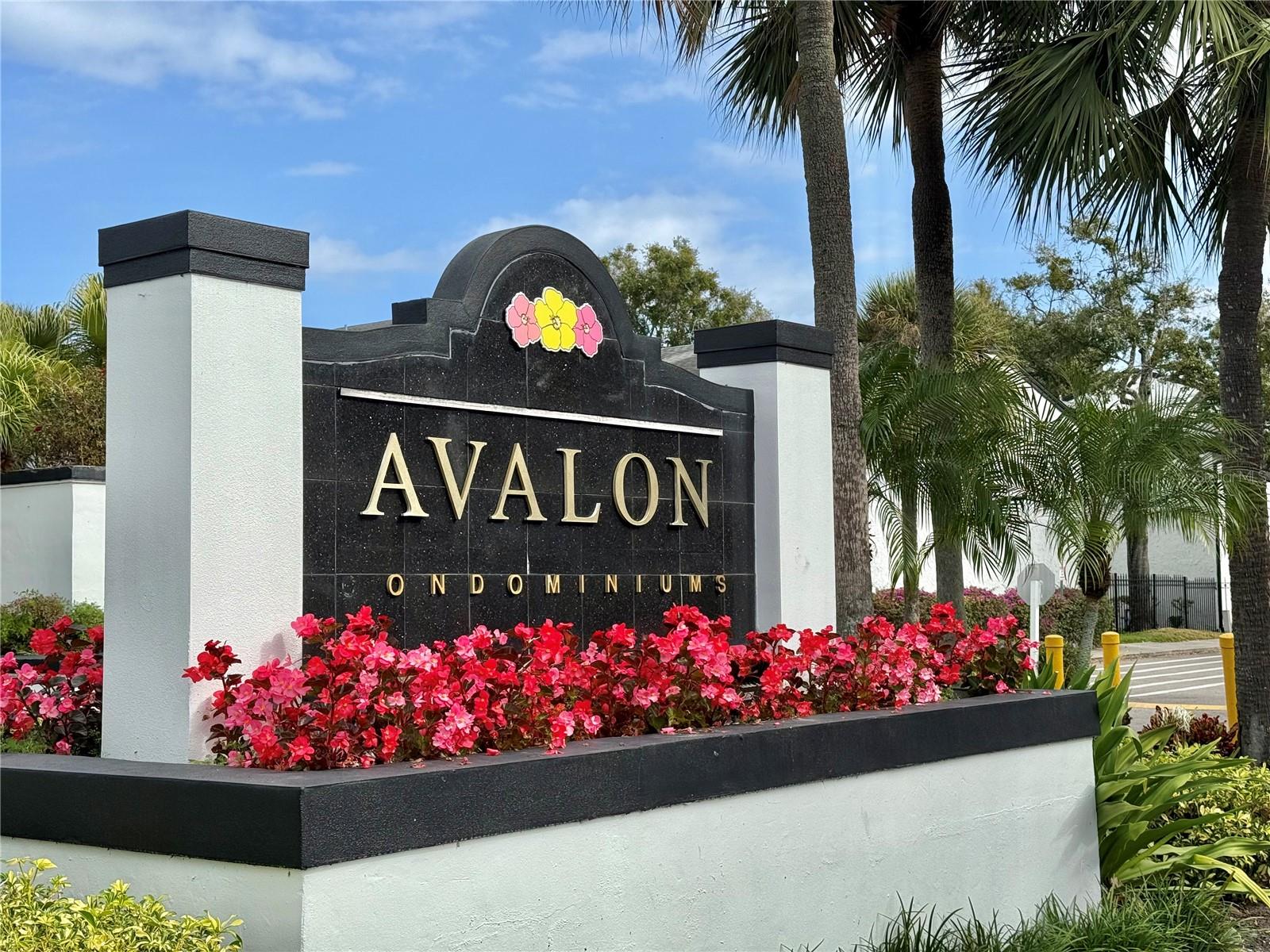 4113 S SEMORAN BLVD #14